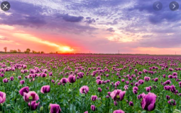 men I would catch a case for